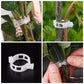 ⏳Limitiertes 50 % Rabatt⏰Pflanzenclips für Rankpflanzen – Tomatenhalter & Pflanzenbinder aus Kunststoff🌱🍅