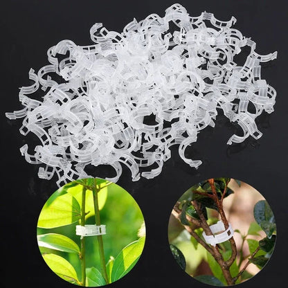 ⏳Limitiertes 50 % Rabatt⏰Pflanzenclips für Rankpflanzen – Tomatenhalter & Pflanzenbinder aus Kunststoff🌱🍅